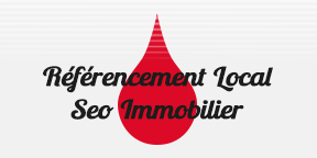 Seo Immobilier, référencement local site web agence immobilière à Vevey Seo pour agence immobilière, référencement local d'un site internet immobilier à Vevey